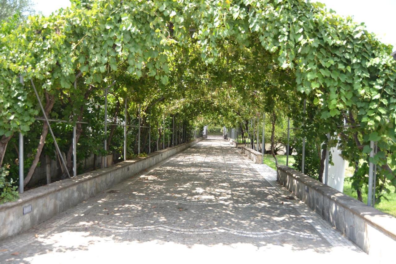 I Giardini Del Vesuvio Vila Somma Vesuviana Exterior foto